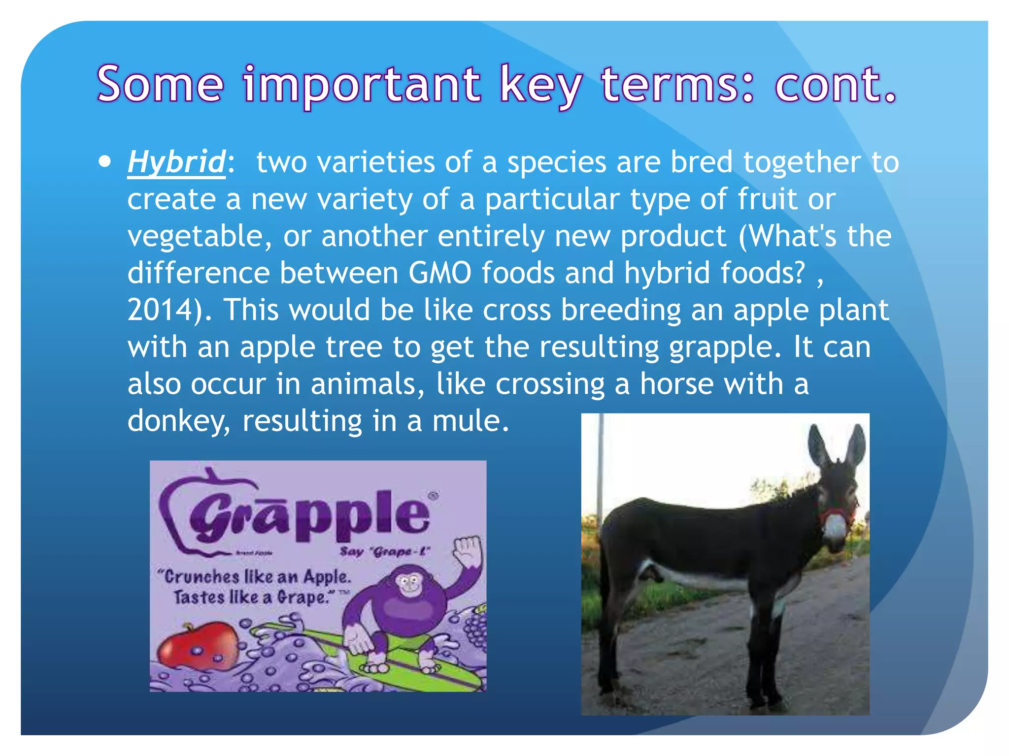  Hybrid: two varieties of a species are bred together to
create a new variety of a particular type of fruit or
vegetable, or another entirely new product (What's the
difference between GMO foods and hybrid foods? ,
2014). This would be like cross breeding an apple plant
with an apple tree to get the resulting grapple. It can
also occur in animals, like crossing a horse with a
donkey, resulting in a mule.
 
