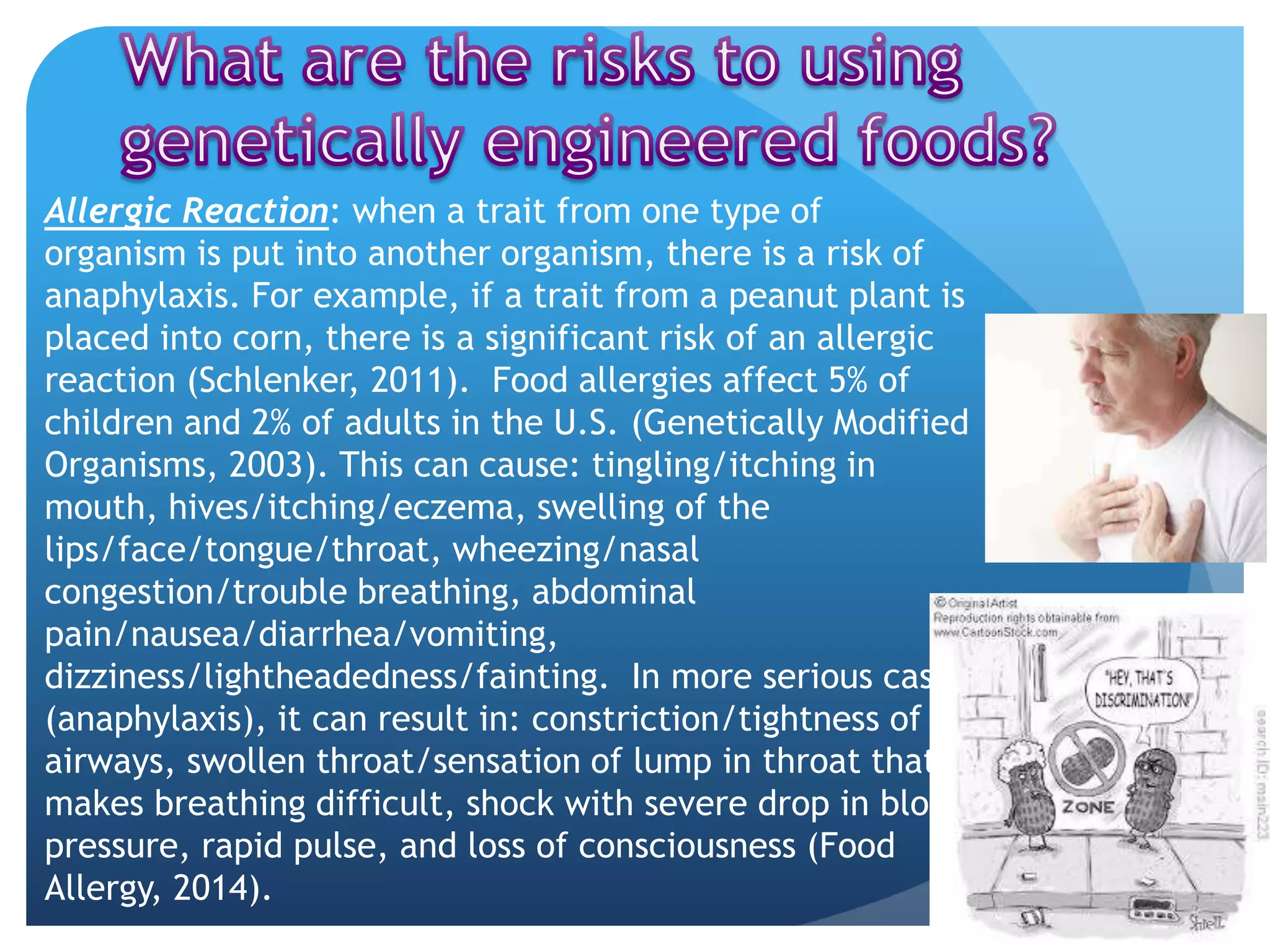 Allergic Reaction: when a trait from one type of
organism is put into another organism, there is a risk of
anaphylaxis. For example, if a trait from a peanut plant is
placed into corn, there is a significant risk of an allergic
reaction (Schlenker, 2011). Food allergies affect 5% of
children and 2% of adults in the U.S. (Genetically Modified
Organisms, 2003). This can cause: tingling/itching in
mouth, hives/itching/eczema, swelling of the
lips/face/tongue/throat, wheezing/nasal
congestion/trouble breathing, abdominal
pain/nausea/diarrhea/vomiting,
dizziness/lightheadedness/fainting. In more serious cases
(anaphylaxis), it can result in: constriction/tightness of
airways, swollen throat/sensation of lump in throat that
makes breathing difficult, shock with severe drop in blood
pressure, rapid pulse, and loss of consciousness (Food
Allergy, 2014).
 