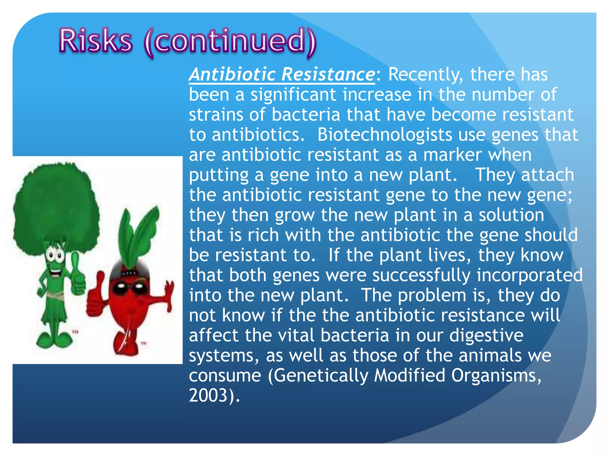 Antibiotic Resistance: Recently, there has
been a significant increase in the number of
strains of bacteria that have become resistant
to antibiotics. Biotechnologists use genes that
are antibiotic resistant as a marker when
putting a gene into a new plant. They attach
the antibiotic resistant gene to the new gene;
they then grow the new plant in a solution
that is rich with the antibiotic the gene should
be resistant to. If the plant lives, they know
that both genes were successfully incorporated
into the new plant. The problem is, they do
not know if the the antibiotic resistance will
affect the vital bacteria in our digestive
systems, as well as those of the animals we
consume (Genetically Modified Organisms,
2003).
 