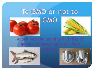 A look into the benefits and risks of
genetic engineering in our food
choices.
 