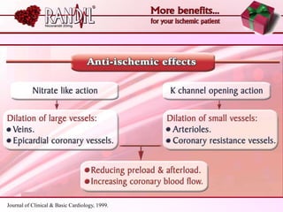 Journal of Clinical & Basic Cardiology, 1999.
 