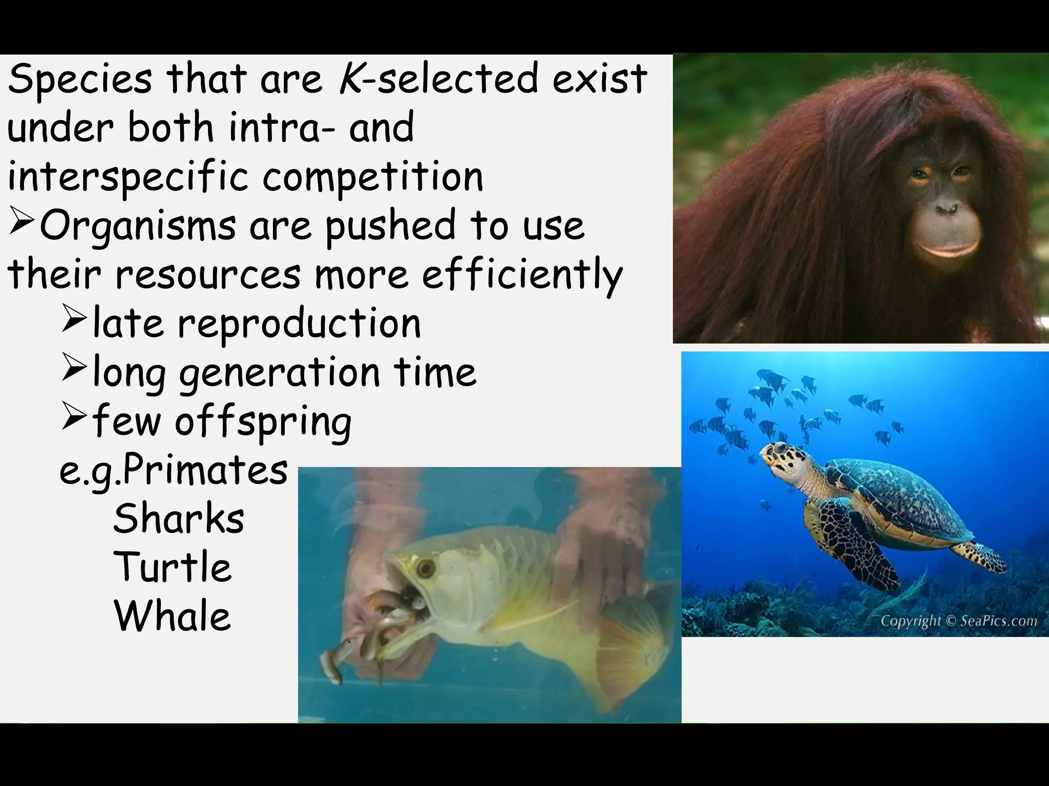 K. Select R Select r and k selection | PPT