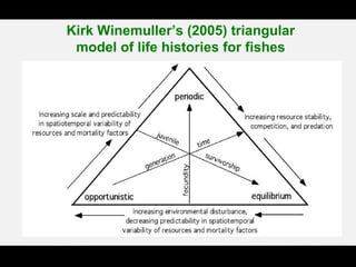 Kirk Winemuller’s (2005) triangular
model of life histories for fishes
 