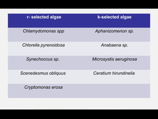 r- selected algae k-selected algae
Chlamydomonas spp Aphanizomenon sp.
Chlorella pyrenoidosa Anabaena sp.
Synechoccus sp. Microsystis aeruginosa
Scenedesmus obliquus Ceratium hirundinelia
Cryptomonas erosa
 