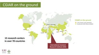 Vetenomics: Interdisciplinary tales of rational disease control for developing country livestock