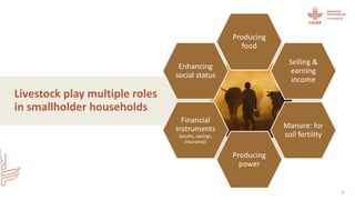 Vetenomics: Interdisciplinary tales of rational disease control for developing country livestock