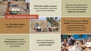 Vetenomics: Interdisciplinary tales of rational disease control for developing country livestock