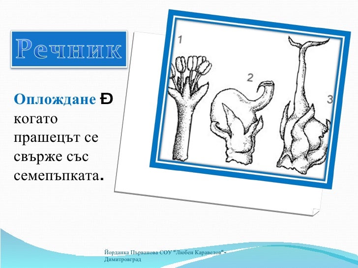 размножаване на растенията