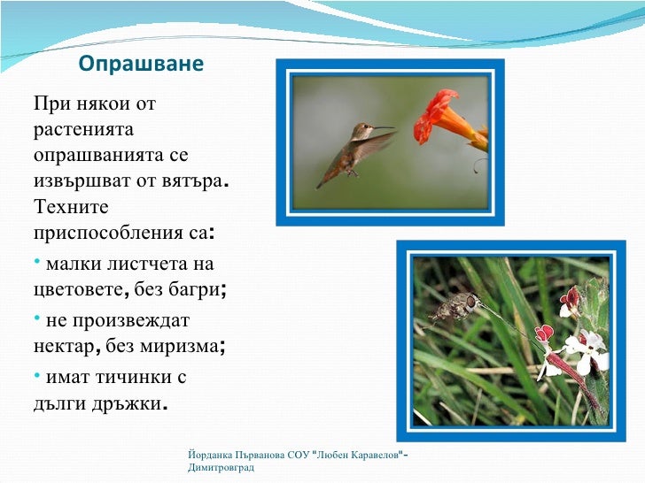размножаване на растенията