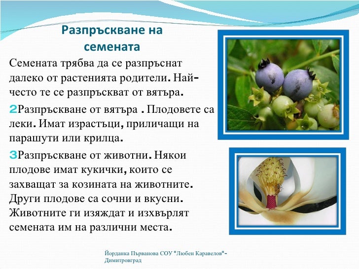 размножаване на растенията