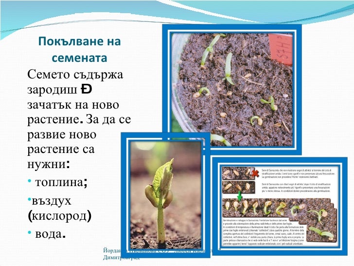 размножаване на растенията