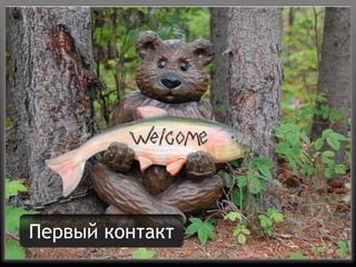 Четыре дырки любой системы продаэ