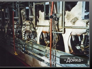 Четыре дырки любой системы продаэ