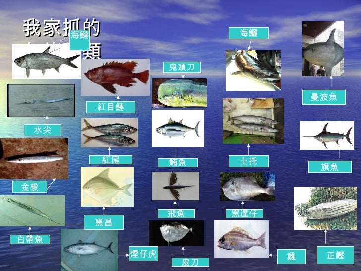 定置漁場