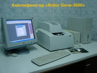 Амплификатор « Rotor Gene-3000 » РНПЦ ОМР  им. Н.Н. Александрова 