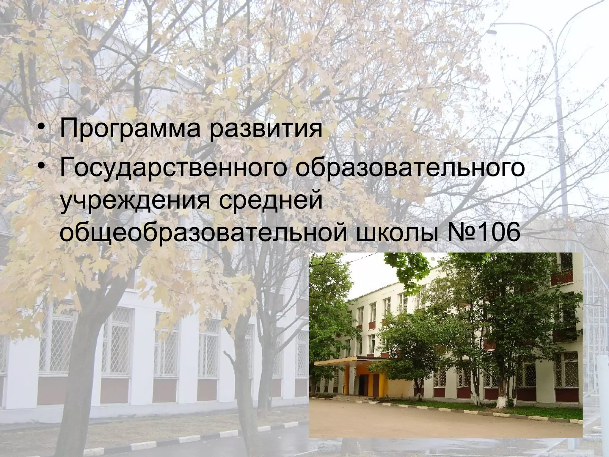 Программа развития Государственного образовательного учреждения   средней общеобразовательной школы №106 