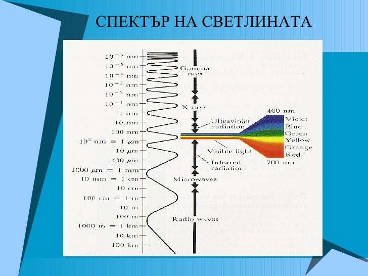 спектър
