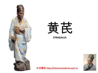黄芪   STRAGALUS




本草纲目 http://chinesemedicine.yo2.cn
 