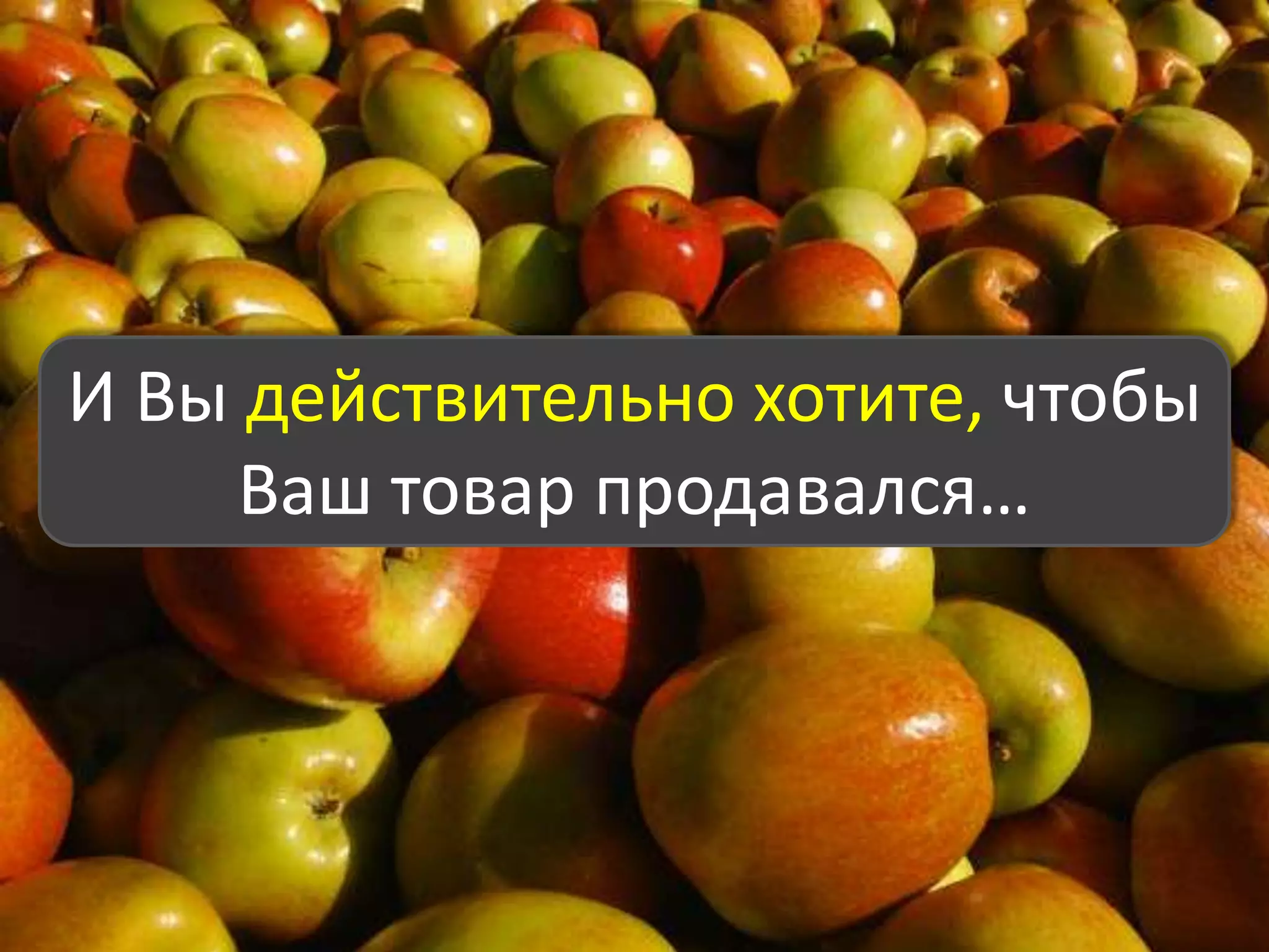 Хорошо ли работают Ваши менеджеры по продажам?