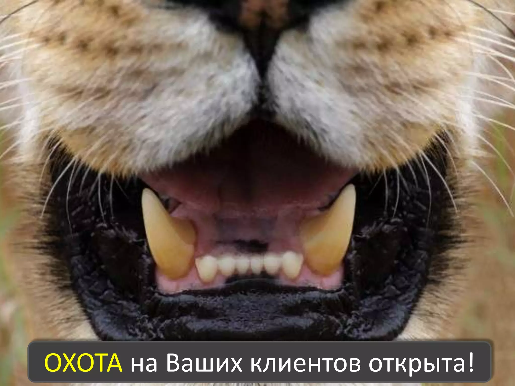 Хорошо ли работают Ваши менеджеры по продажам?