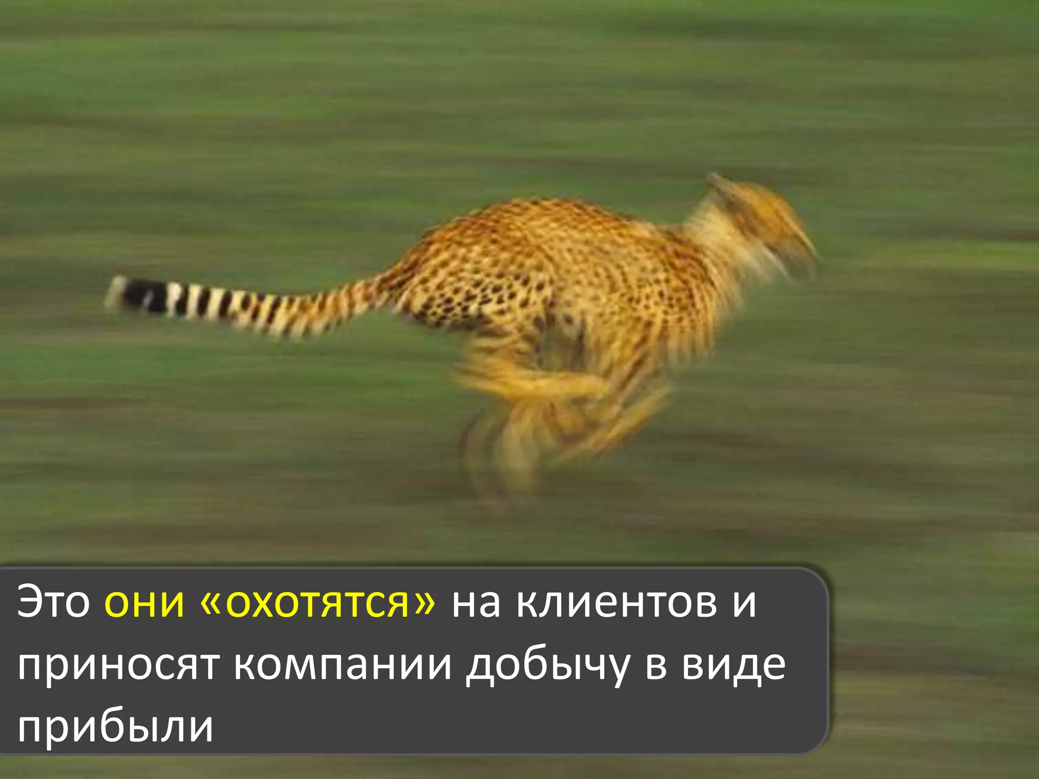 Хорошо ли работают Ваши менеджеры по продажам?