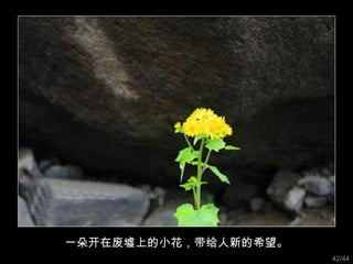һ俪ڷϵСµϣ 