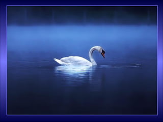 الغيوم في حياتنا مرسلة لتمطر علينا البركات 