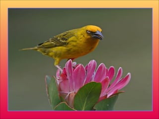 الصبر هو قبول الظروف الصعبة من الله  من دون ان تعطيه وقت لإنهاءها 