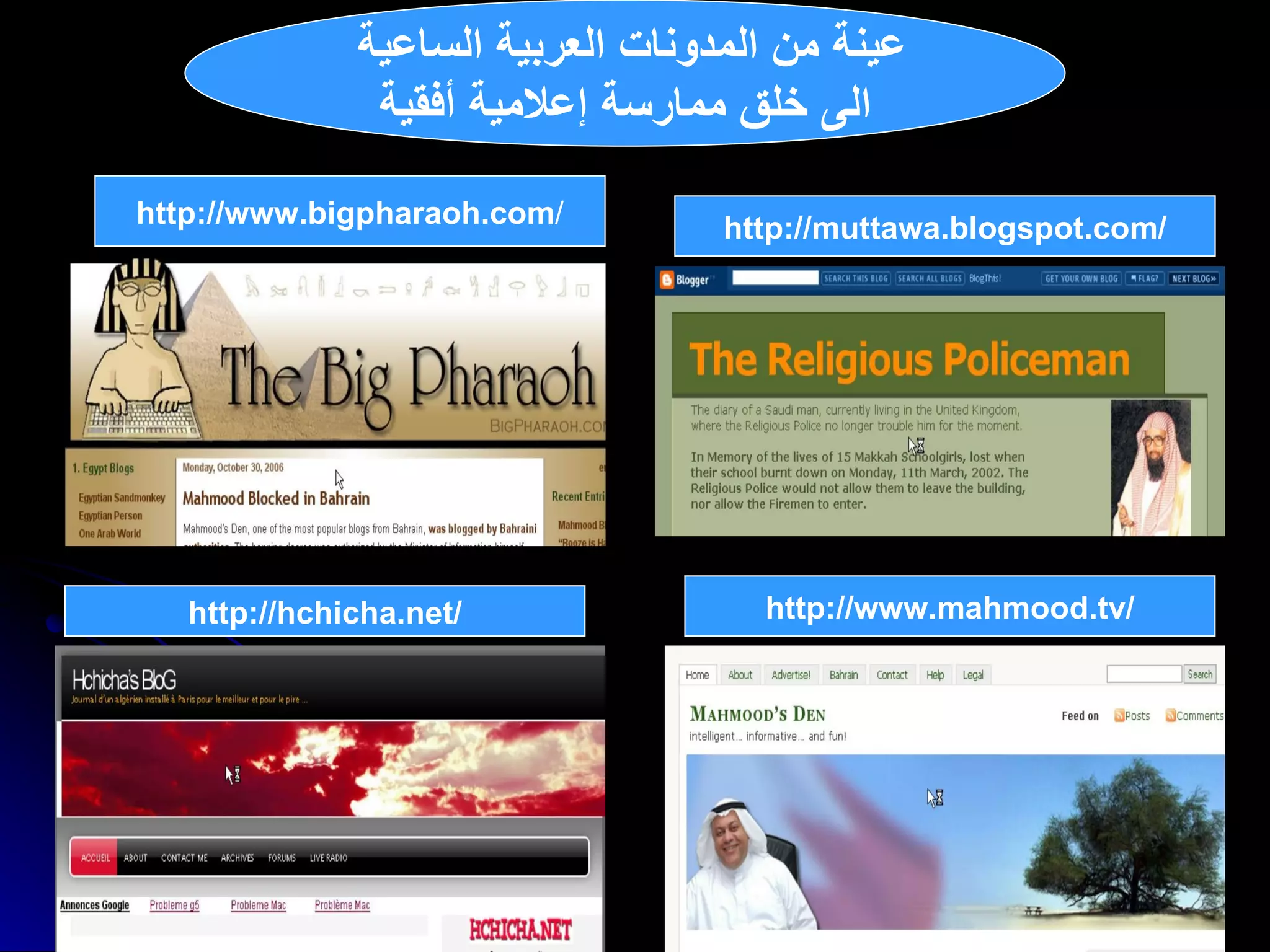 عينة من المدونات العربية الساعية  الى خلق ممارسة إعلامية أفقية http :// www . bigpharaoh . com / http :// hchicha . net / http :// muttawa . blogspot . com / http :// www . mahmood . tv / 