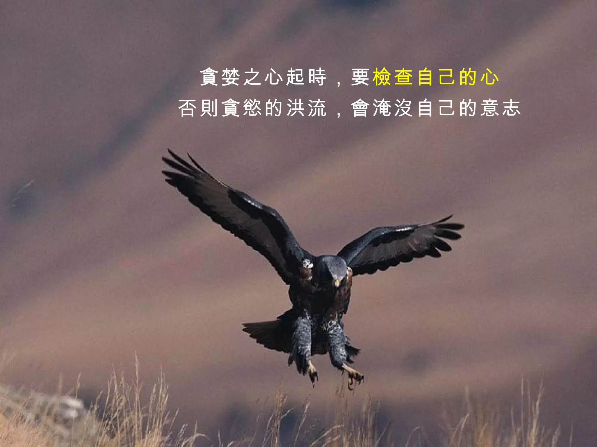 貪婪之心起時，要 檢查自己的心 否則貪慾的洪流，會淹沒自己的意志 