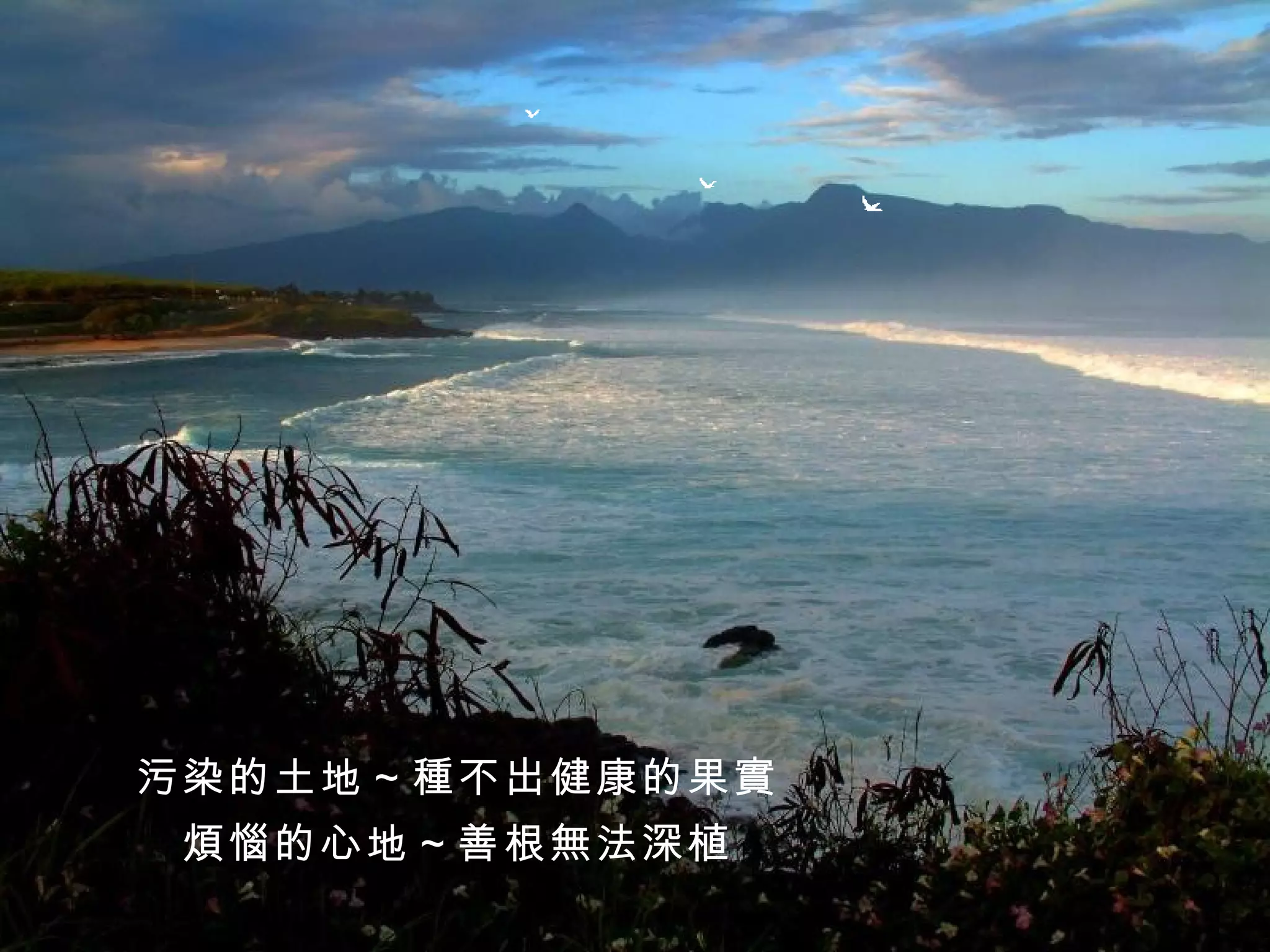 污染的土地～種不出健康的果實 煩惱的心地～善根無法深植 