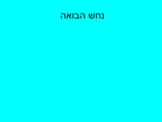 נחש הבואה  