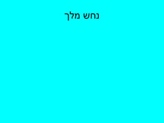 נחש מלך 