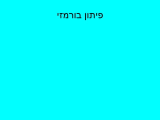 פיתון בורמזי 