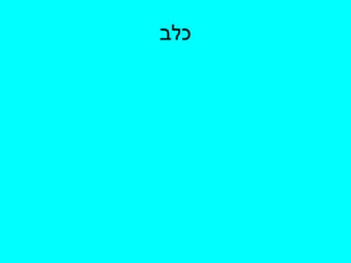 כלב 