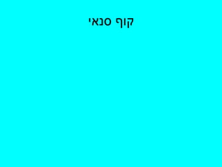 קוף סנאי 