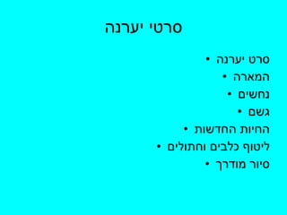 סרטי יערנה סרט יערנה המארה נחשים גשם החיות החדשות ליטוף כלבים וחתולים סיור מודרך 