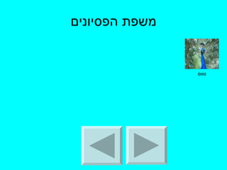 משפת הפסיונים טווס 