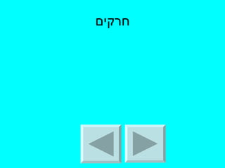 חרקים 