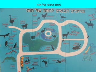 מפת החווה של חוה 