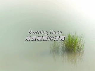 Morning Haze 清晨朦朧的薄霧 