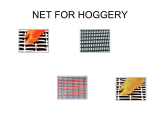 NET FOR HOGGERY 