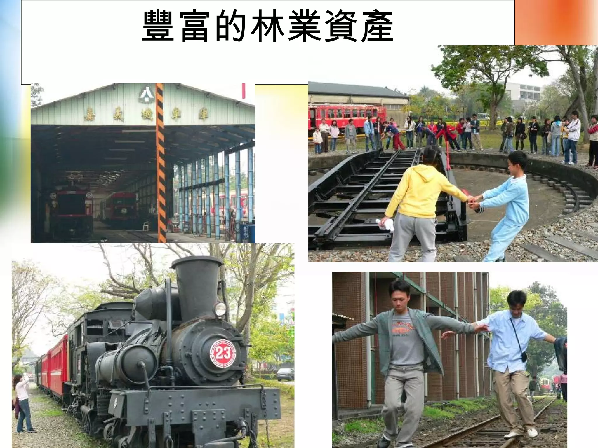 豐富的林業資產
 