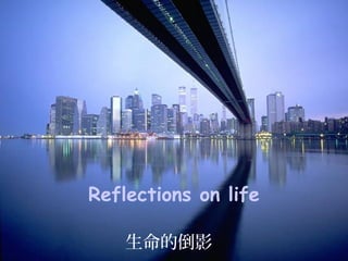 Reflections on life
生命的倒影
 