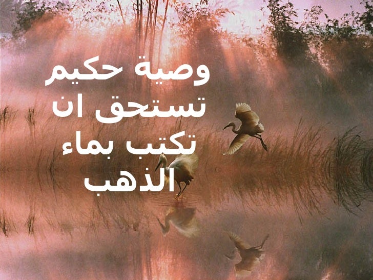 وصية حكيم