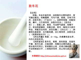 款冬花 Common Coltsfoot Flower