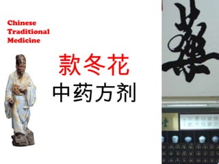 款冬花 Common Coltsfoot Flower