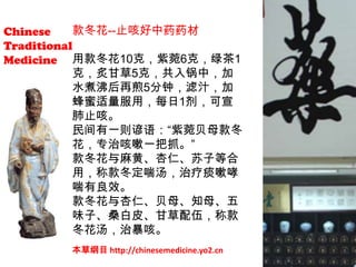 款冬花 Common Coltsfoot Flower