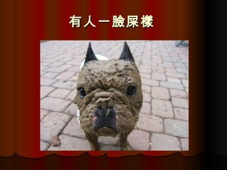 һʺ   
