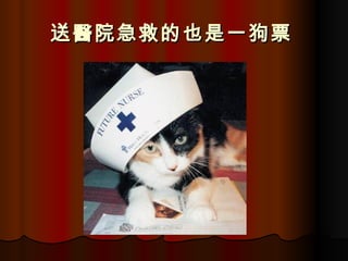 送醫院急救的也是一狗票   